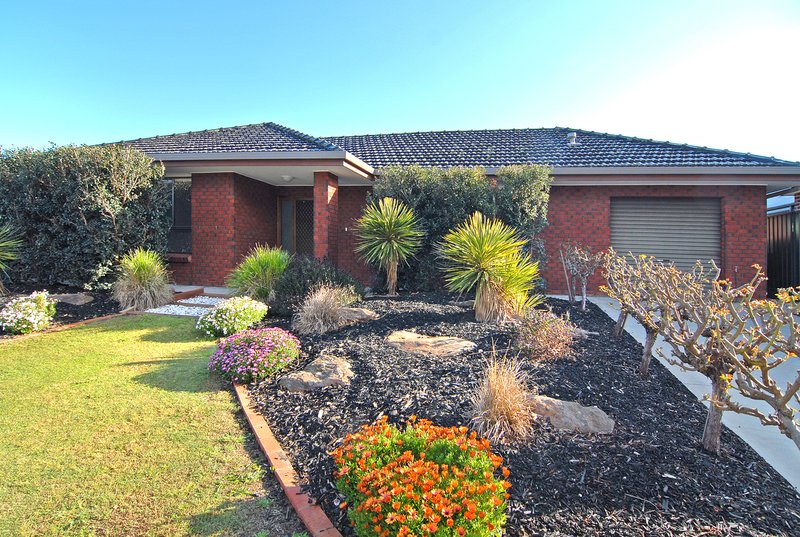 Photo - 8 Theodore Avenue, Athelstone SA 5076 - Image 19