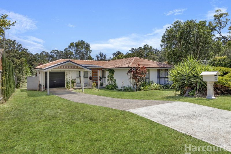 Photo - 8 Turpentine Crescent, Wauchope NSW 2446 - Image 19