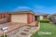 Photo - 8 Venus Place, Cranbourne VIC 3977 - Image 1