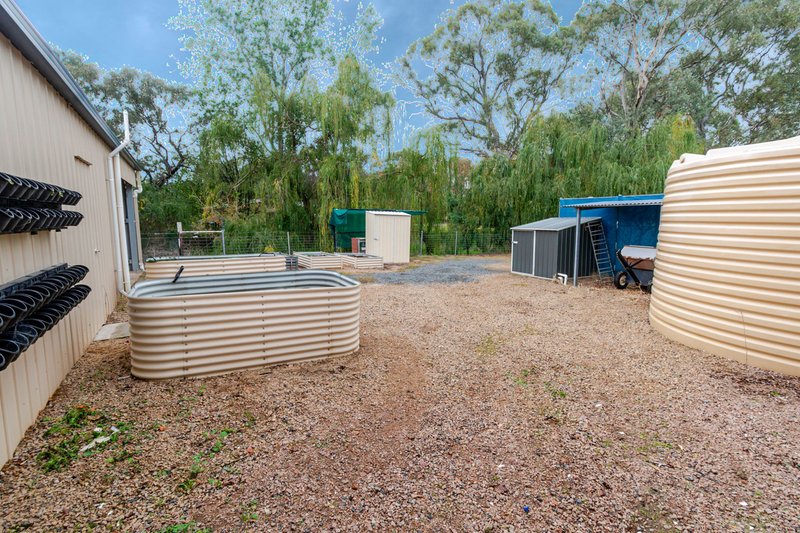 Photo - 8 Vine Street, Holbrook NSW 2644 - Image 24