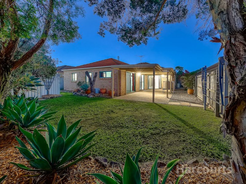 Photo - 8 Violet Close, Fitzgibbon QLD 4018 - Image 3