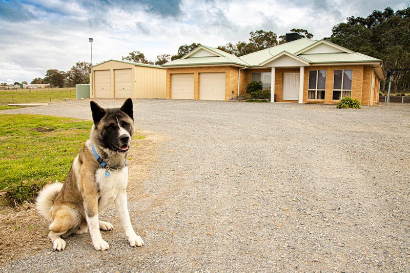 8 Wattle Glen, Murrumbateman NSW 2582