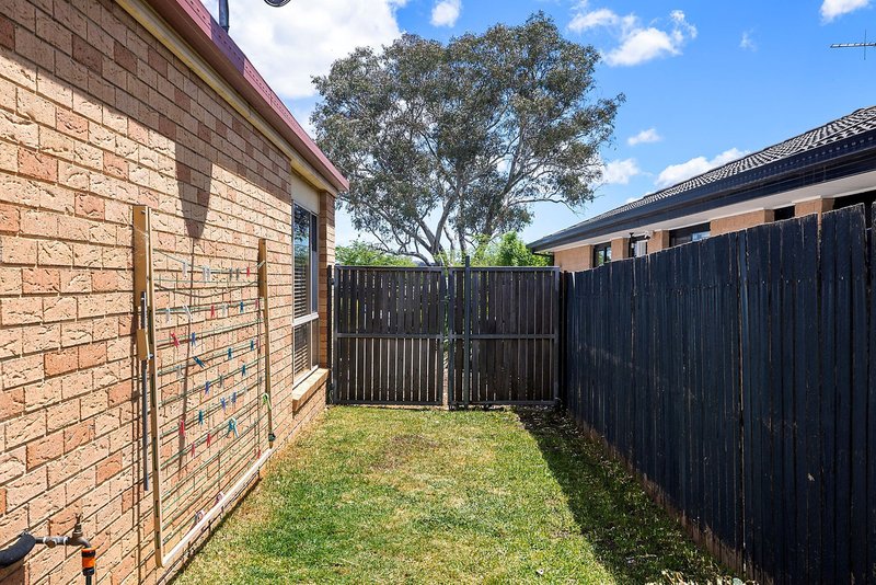 Photo - 8 Wenlock Street, Amaroo ACT 2914 - Image 11