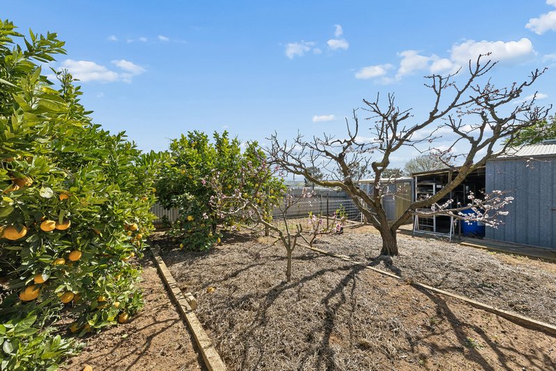 Photo - 8 Williams Grove, Murray Bridge SA 5253 - Image 24