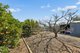 Photo - 8 Williams Grove, Murray Bridge SA 5253 - Image 24