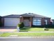 Photo - 8 Yellowgum Avenue, Lyndhurst VIC 3975 - Image 1