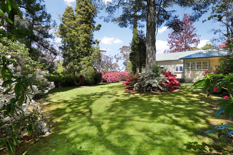 Photo - 8 Young Lane, Blackheath NSW 2785 - Image 14