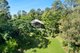 Photo - 80 Appaloosa Drive, Conondale QLD 4552 - Image 16