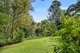 Photo - 80 Appaloosa Drive, Conondale QLD 4552 - Image 20