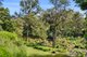 Photo - 80 Appaloosa Drive, Conondale QLD 4552 - Image 27