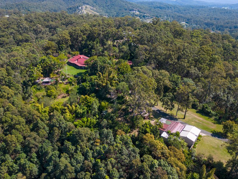 Photo - 80 Baileys Mountain Road, Willow Vale QLD 4209 - Image 34