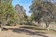 Photo - 80 Blacks Mill Lane, O'Connell NSW 2795 - Image 16