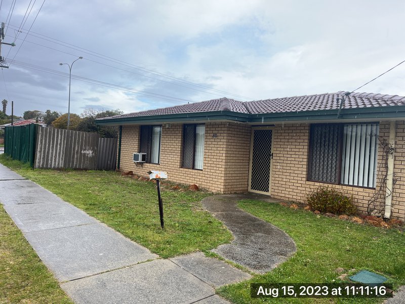 Photo - 80 Gossamer Avenue, Mirrabooka WA 6061 - Image