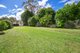 Photo - 80 Hickory Street, Dorrigo NSW 2453 - Image 9