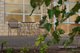 Photo - 80 Ilma Rise, Wandina WA 6530 - Image 4