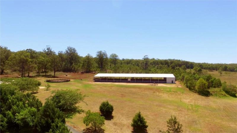 Photo - 80 Lubach Road, Geham QLD 4352 - Image 4