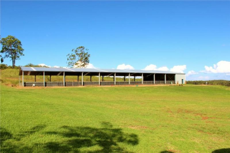 Photo - 80 Lubach Road, Geham QLD 4352 - Image 11