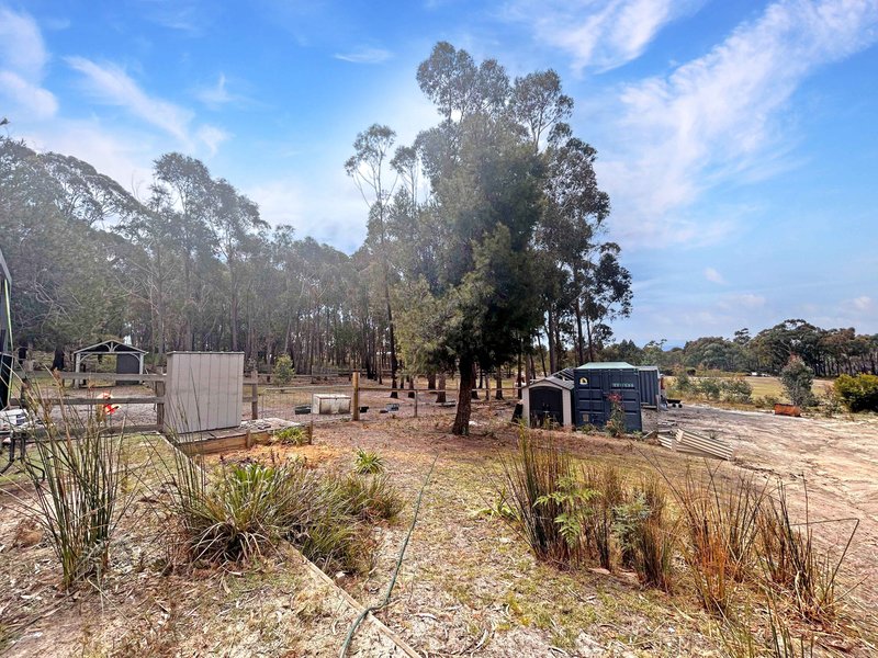 Photo - 80 Mcmanus Drive, Falmouth TAS 7215 - Image 12