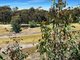 Photo - 80 Mcmanus Drive, Falmouth TAS 7215 - Image 22