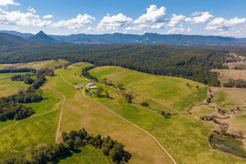 80 Mortons Road, Killabakh NSW 2429