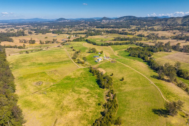 Photo - 80 Mortons Road, Killabakh NSW 2429 - Image 3