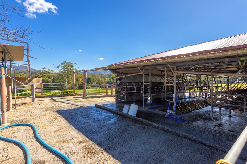 Photo - 80 Mortons Road, Killabakh NSW 2429 - Image 10