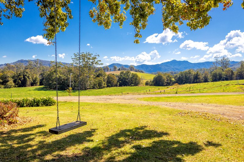 Photo - 80 Mortons Road, Killabakh NSW 2429 - Image 14