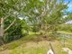 Photo - 80 Noosa Road, Monkland QLD 4570 - Image 15