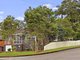 Photo - 80 Owen Street, Port Macquarie NSW 2444 - Image 2