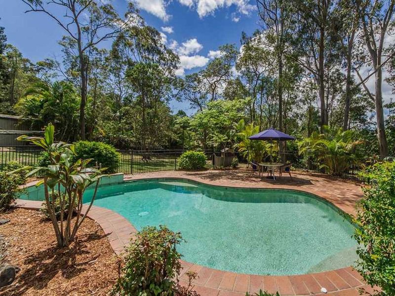 Photo - 80 Quambone Street, Worongary QLD 4213 - Image 5