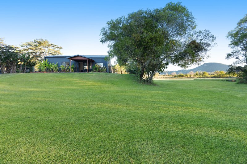 Photo - 80 Rickard Road, Yandina Creek QLD 4561 - Image 6