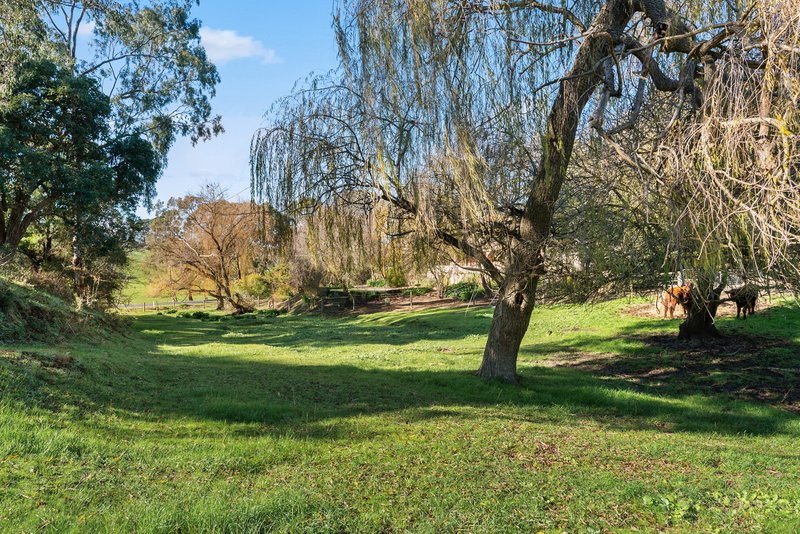 Photo - 80 Schuberts Road, Lobethal SA 5241 - Image 22