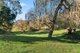 Photo - 80 Schuberts Road, Lobethal SA 5241 - Image 22