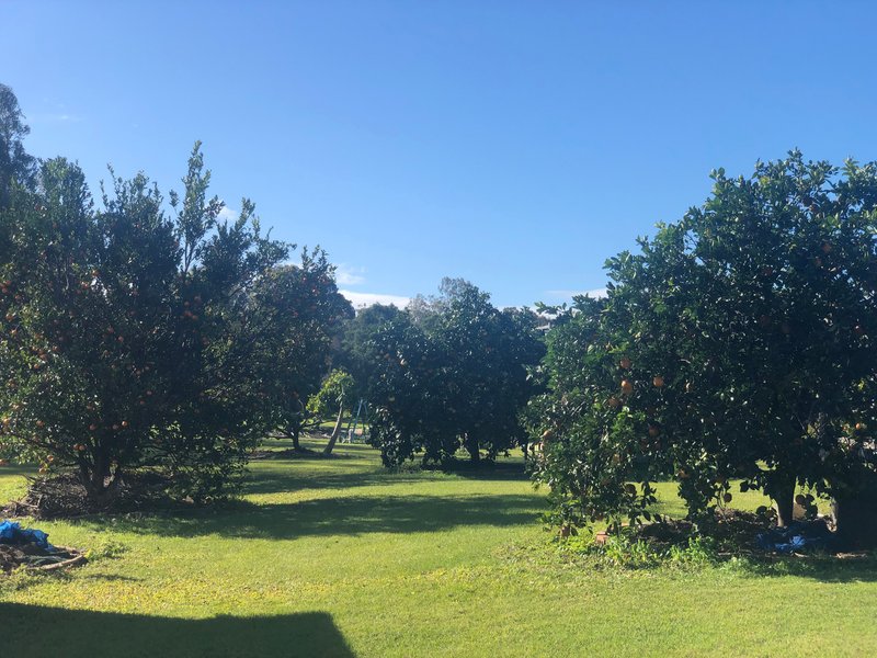 Photo - 80 Spanns Road, Beenleigh QLD 4207 - Image 16