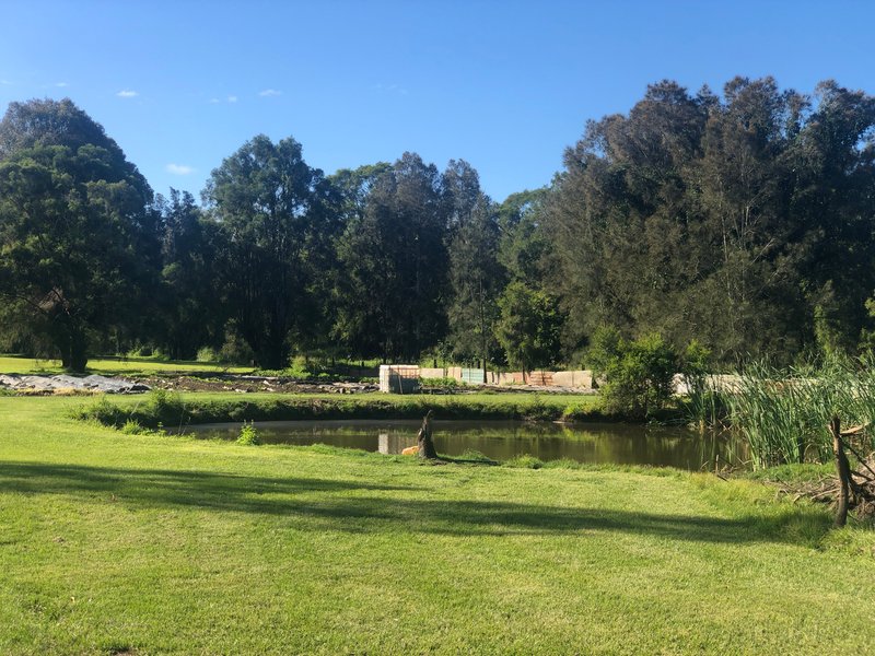 Photo - 80 Spanns Road, Beenleigh QLD 4207 - Image 17