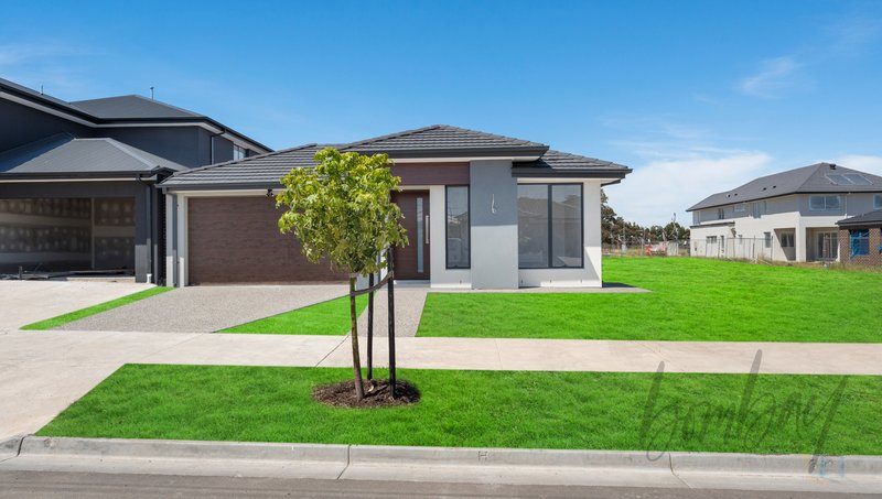 Photo - 80 Whitebark Street, Wollert VIC 3750 - Image 2