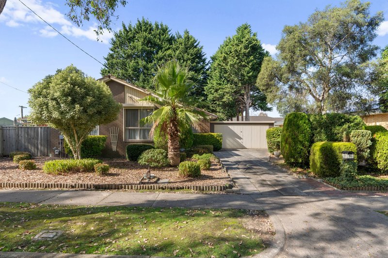 Photo - 80 Yarra Road, Croydon North VIC 3136 - Image 4