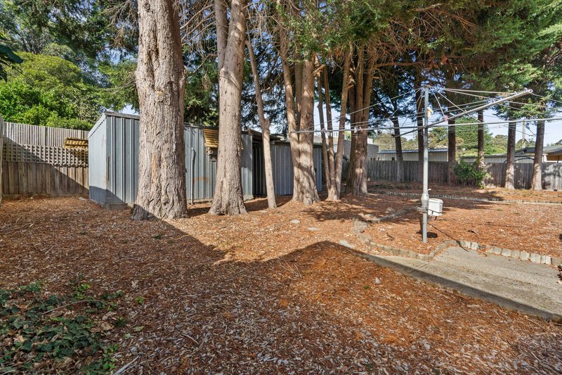 Photo - 80 Yarra Road, Croydon North VIC 3136 - Image 14