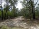 Photo - 800 Capricornia Drive, Deepwater QLD 4674 - Image 17