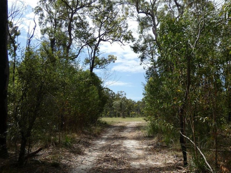 Photo - 800 Capricornia Drive, Deepwater QLD 4674 - Image 18