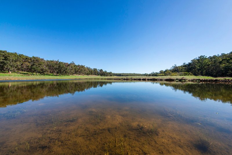 Photo - 800 Graphite Road, Nannup WA 6275 - Image 5