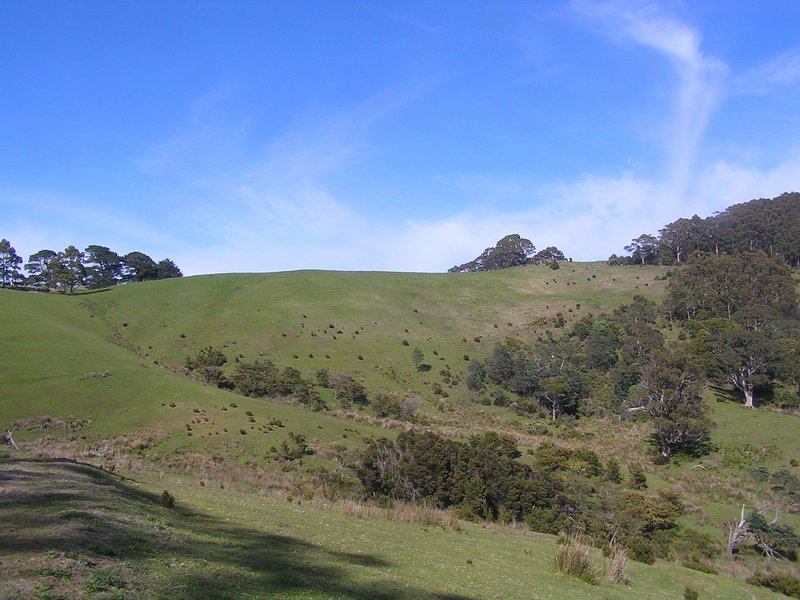 Photo - 800 Stormlea Road, Stormlea TAS 7184 - Image 8