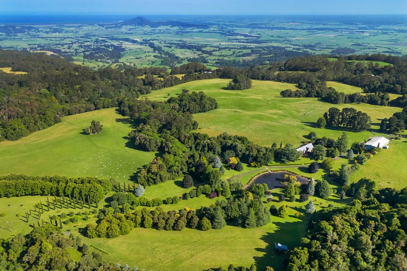Photo - 801 Kangaroo Valley Road, Bellawongarah NSW 2535 - Image 3