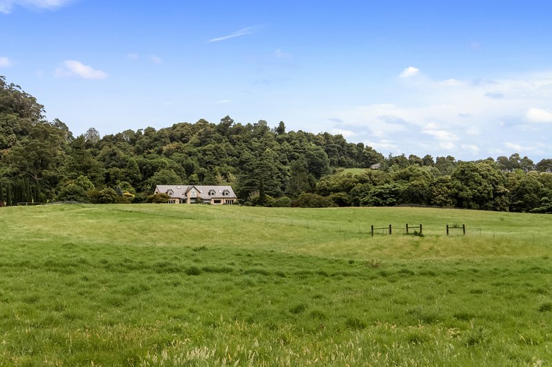 Photo - 801 Kangaroo Valley Road, Bellawongarah NSW 2535 - Image 31