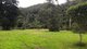 Photo - 802 Dairyville Road, Upper Orara NSW 2450 - Image 6