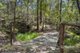 Photo - 803-843 Quinzeh Creek Road, Cedar Creek QLD 4207 - Image 24