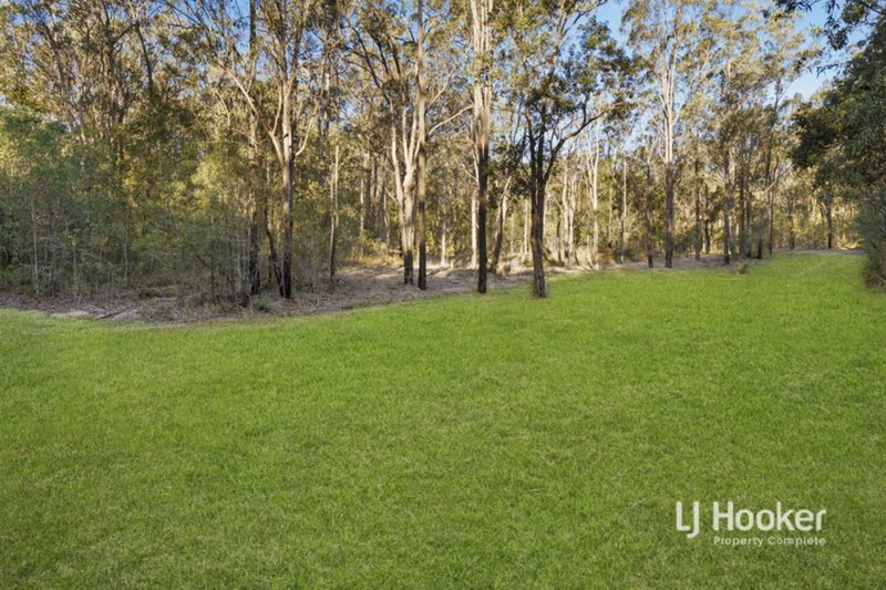 Photo - 803-843 Quinzeh Creek Road, Cedar Creek QLD 4207 - Image 25