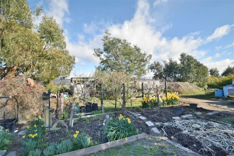 Photo - 803 Whitemore Rd , Whitemore TAS 7303 - Image 3