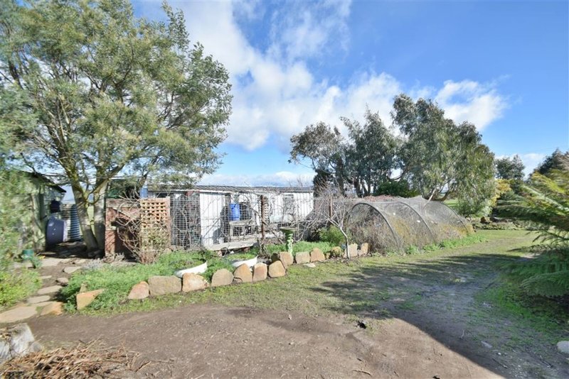 Photo - 803 Whitemore Rd , Whitemore TAS 7303 - Image 16