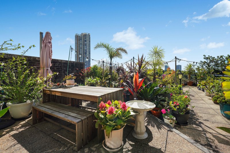 Photo - 804/180 Ocean Street, Edgecliff NSW 2027 - Image 2